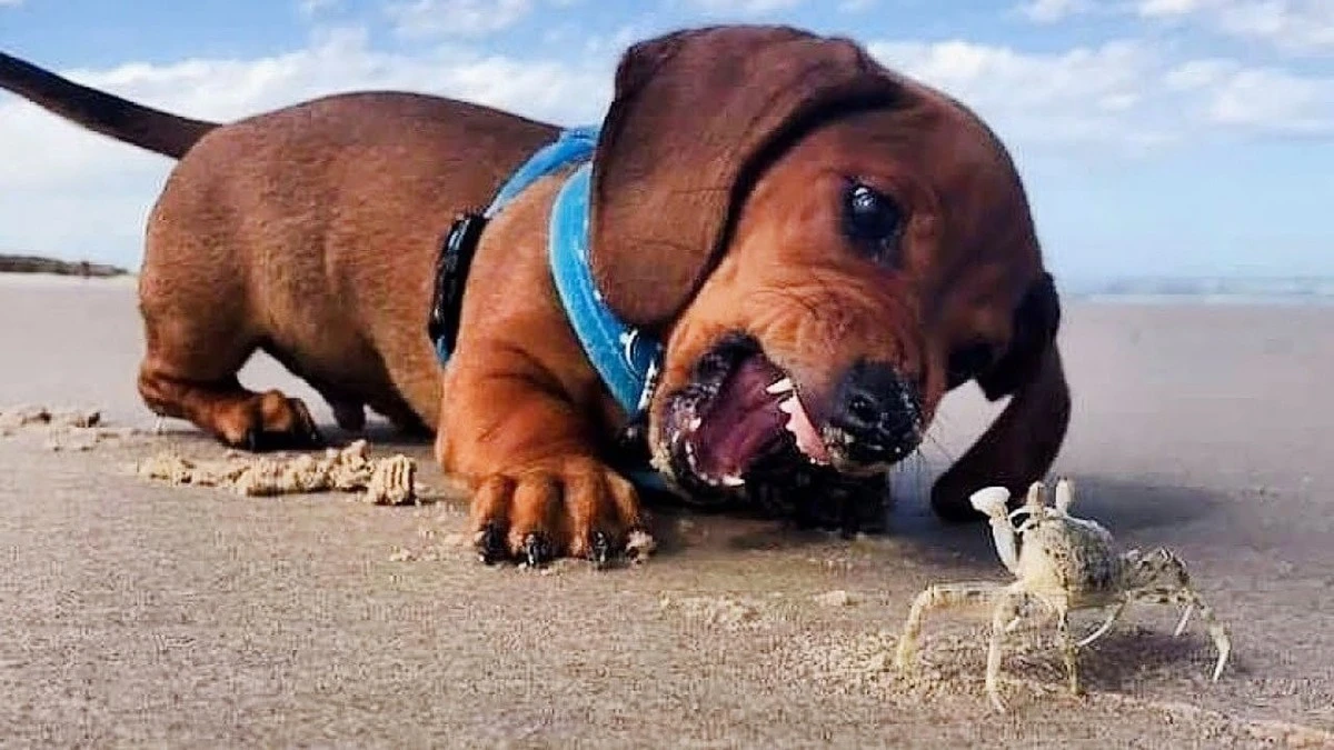 Dlaczego do lotu na Księżyc potrzebujesz 728 milionów jamników - image 1