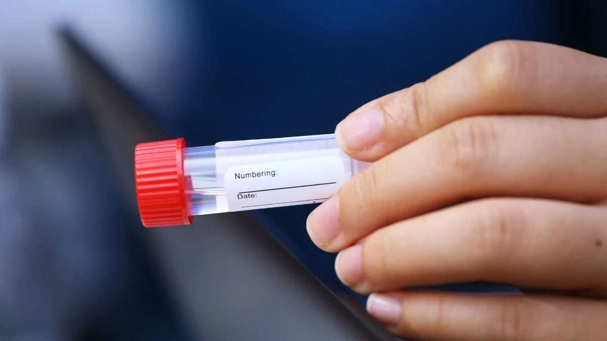 DNA otwiera archiwa: w twoich genach może kryć się historia osadników z Maryland