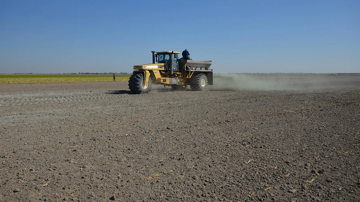 dlaczegodoswiad-extra-1.webp Dlaczego doświadczeni rolnicy wysypują zmielony bazalt na swoje pola - image 1