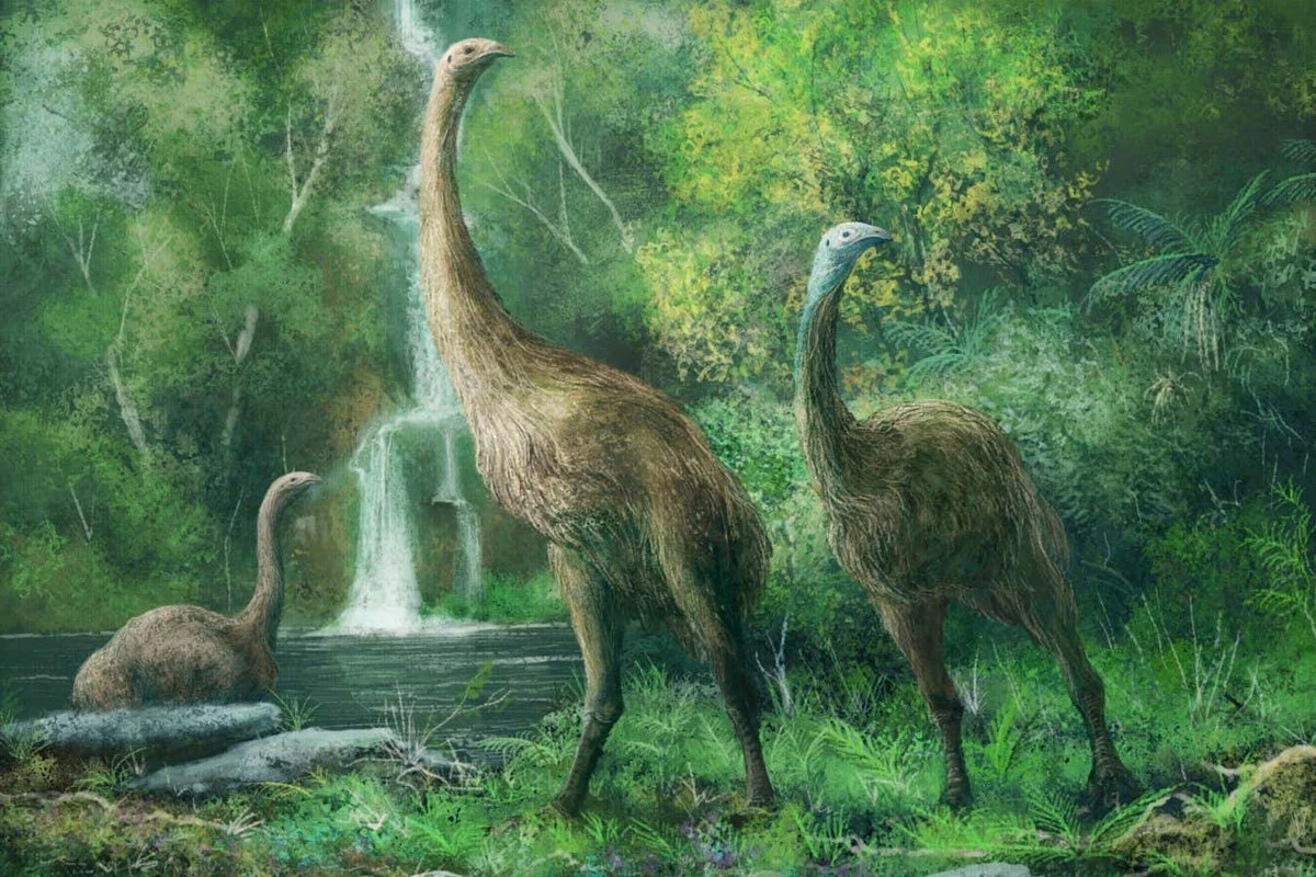 Sztuczne jajko, które ma przywrócić do życia gigantyczne ptaki moa