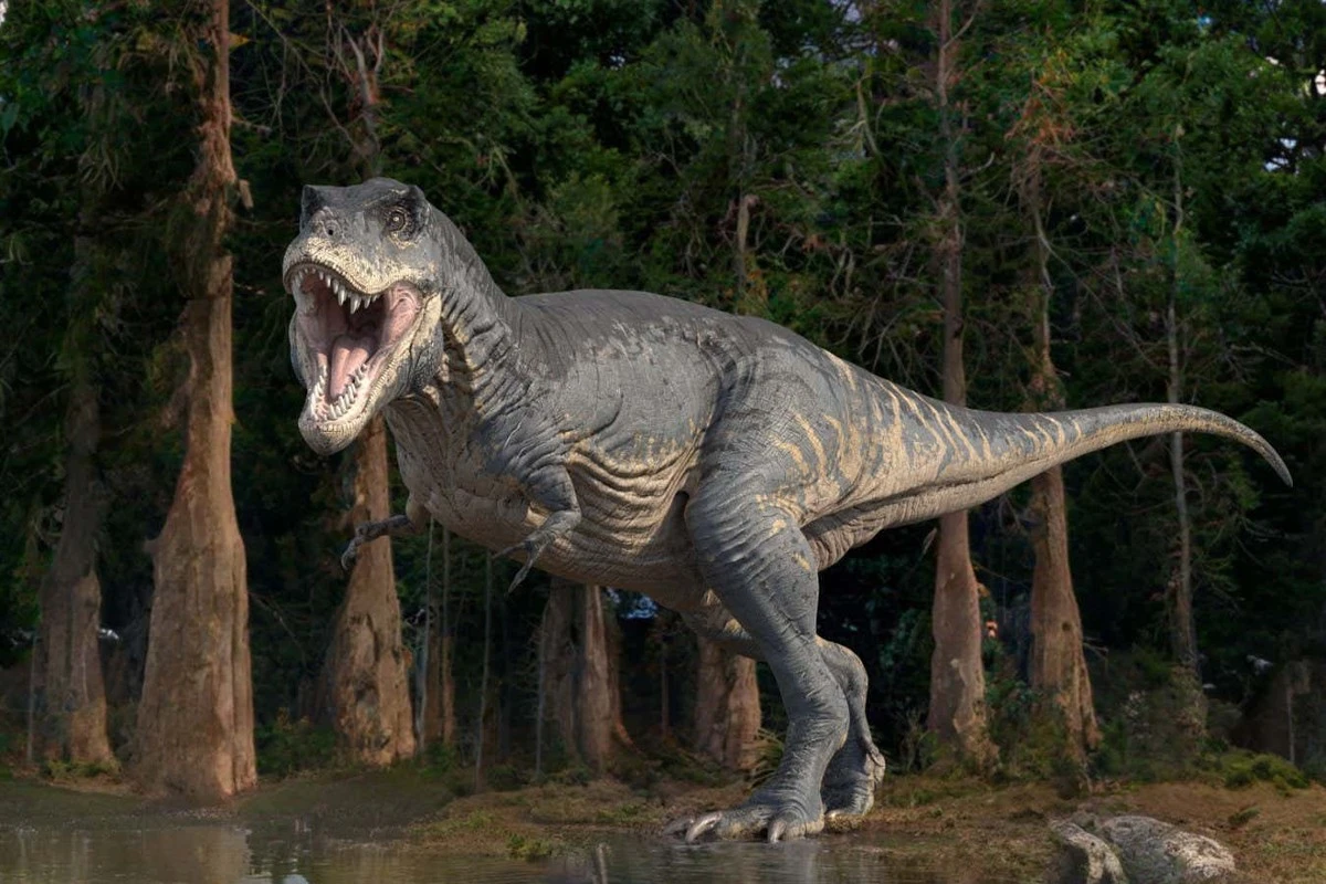 Dlaczego T. rex miał tak śmiesznie małe ramiona? Zagadka rozwiązana