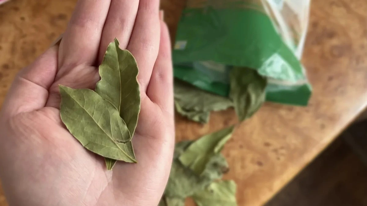Dlaczego w połowie kwietnia warto zapalić liść laurowy w domu