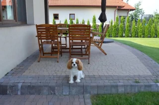 Jak wykonać taras z cegły: Krok po kroku - poradnik dla majsterkowiczów