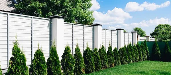 Jak zasłonić ogrodzenie panelowe: 8 skutecznych metod i porad