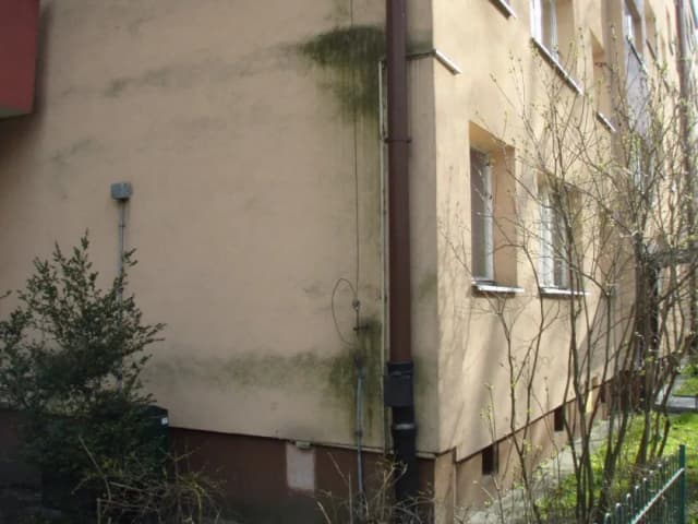 Jak odnowić elewację budynku: 5 skutecznych metod renowacji