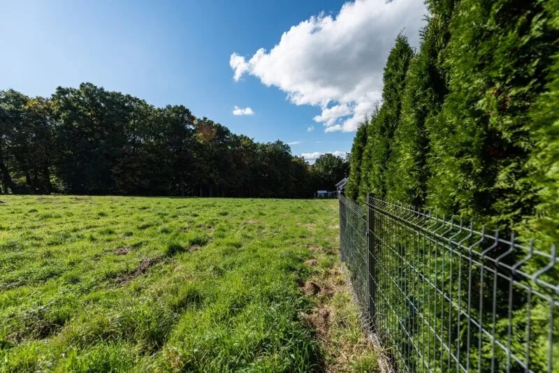 Przepisy dotyczące ogrodzenia: Ile od granicy można je postawić?