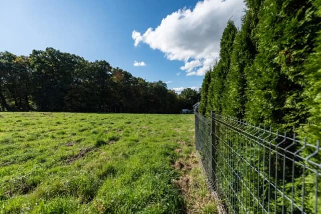 Przepisy dotyczące ogrodzenia: Ile od granicy można je postawić?