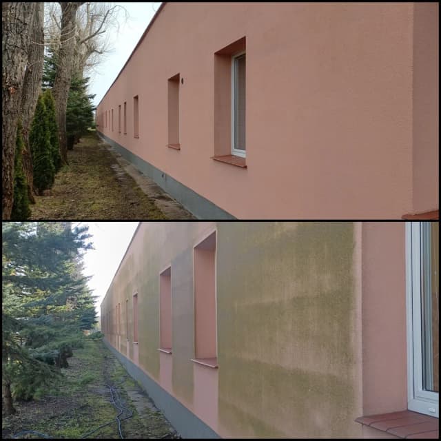 Skuteczne sposoby na usunięcie zielonego nalotu z elewacji - poradnik