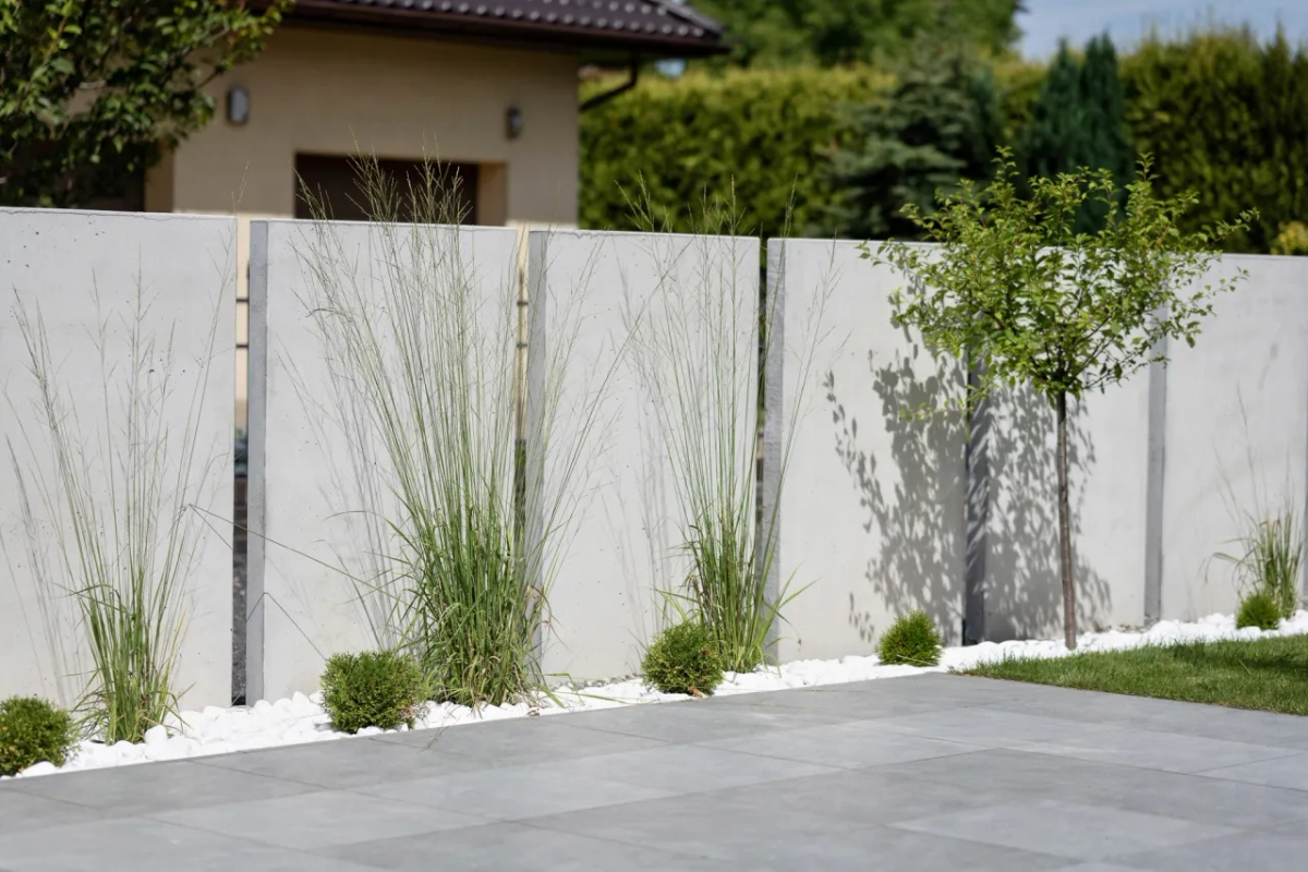 Najlepsze rośliny na ogrodzenie: wybierz idealne dla siebie