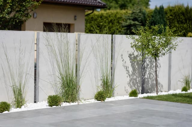 Najlepsze rośliny na ogrodzenie: wybierz idealne dla siebie